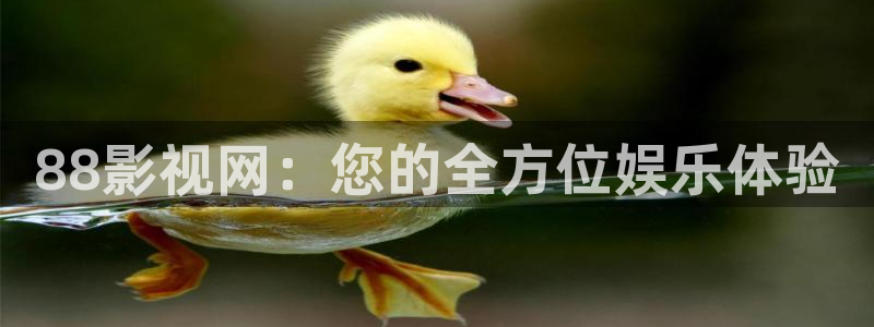橘子影视.：88影视网：您的全方位娱乐体验