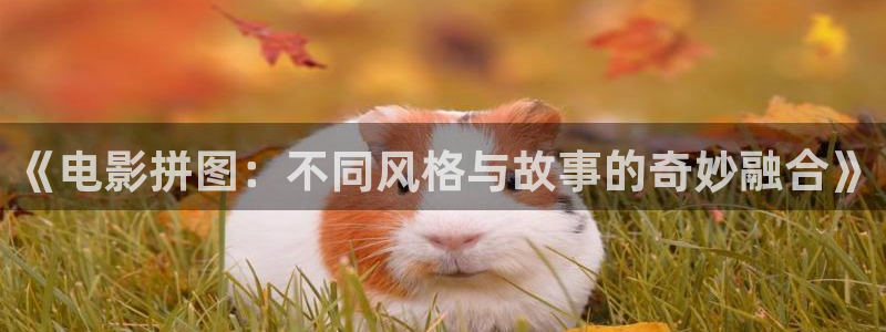 橘子影视下载ios：《电影拼图：不同风格与故事的奇妙融合》