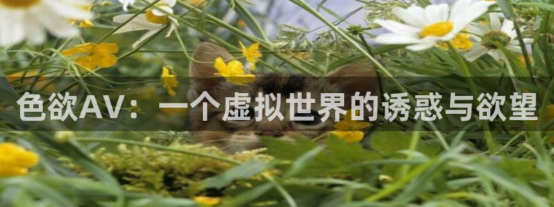 橘子视频平板怎么下载：色欲AV：一个虚拟世界的诱惑与欲望