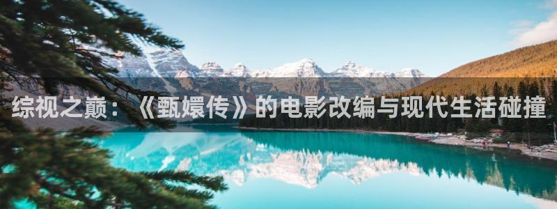 橘子桔子：综视之巅：《甄嬛传》的电影改编与现代生活碰撞
