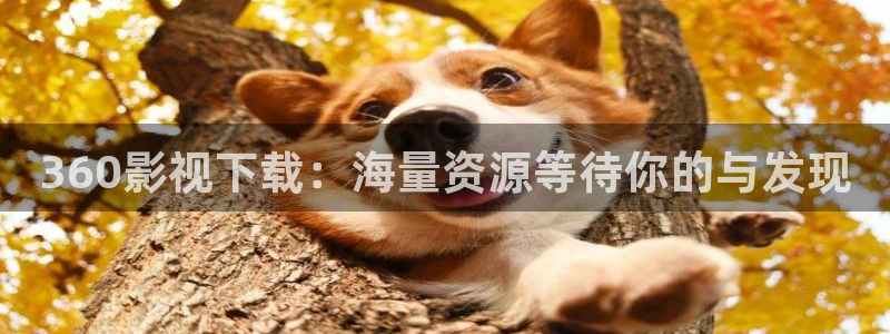 橘子电影在线全集观看：360影视下载：海量资源等待你的与发现