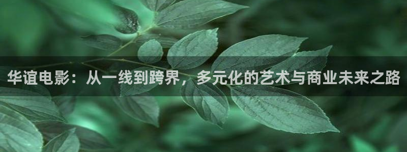 橘子视频苹果下载安装：华谊电影：从一线到跨界，多元化的艺术与商业未来之路