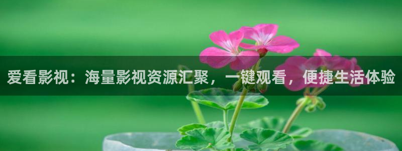 橘子照片：爱看影视：海量影视资源汇聚，一键观看，便捷生活体验