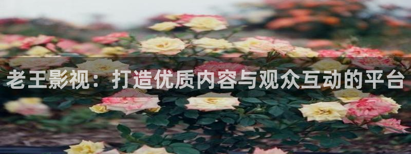 橘子影视下载：老王影视：打造优质内容与观众互动的平台