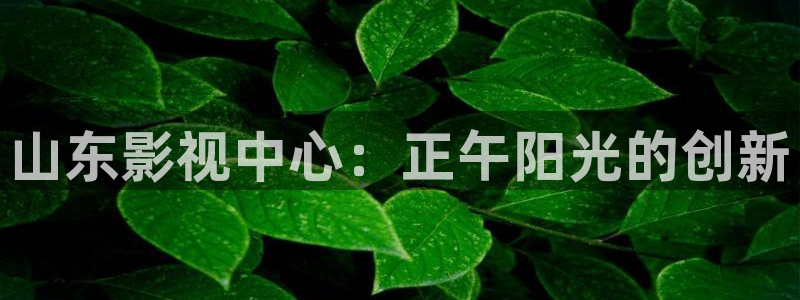 橘子宾馆：山东影视中心：正午阳光的创新