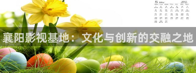 橘子影视app：襄阳影视基地：文化与创新的交融之地